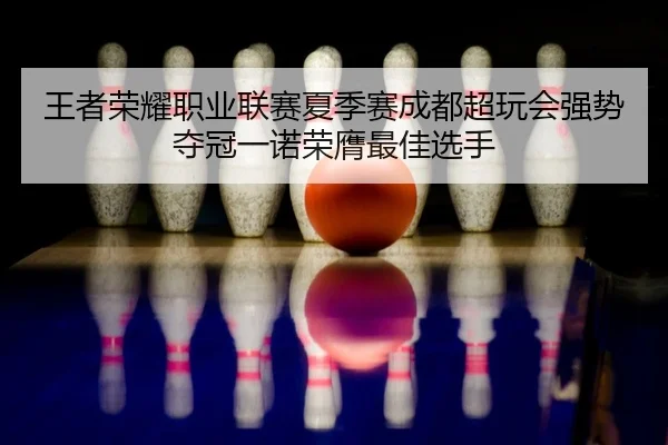 wang-zhe-rong-yao-zhi-ye-lian-sai-xia-ji-sai-cheng-du-chao-wan-hui-qiang-shi-duo-guan-yi-nuo-rong-ying-zui-jia-xuan-shou-2-430.jpg